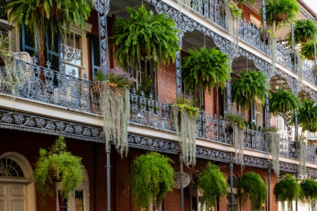 Colores de New Orleans 2026