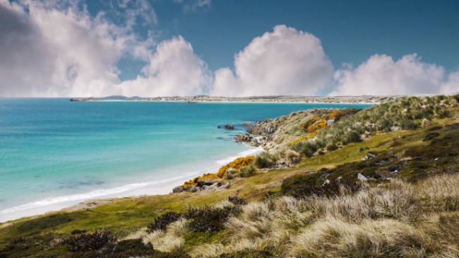 Malvinas Historico 2026 - 2027