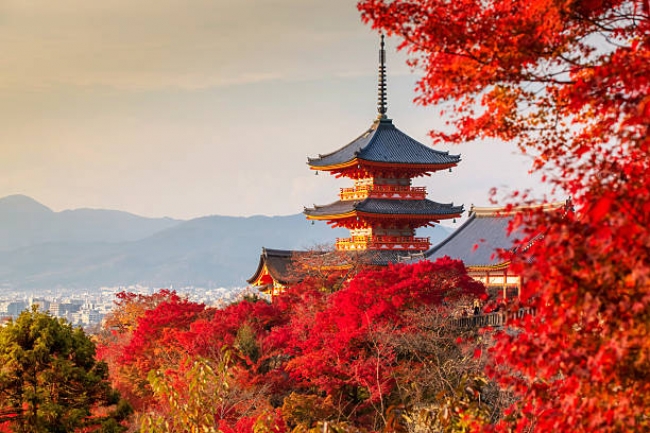 Lo Mejor de Japon y Corea 2026 -2027