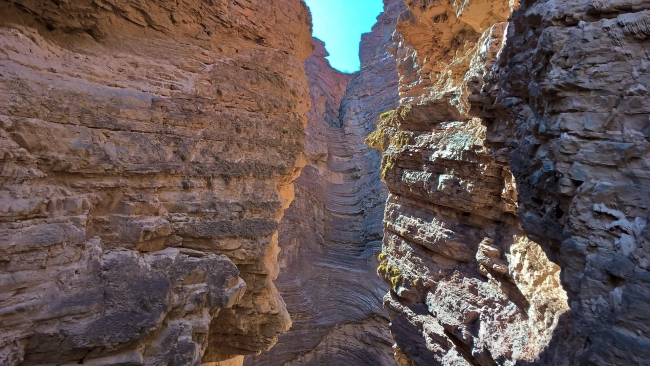 Salta Cl�sica
